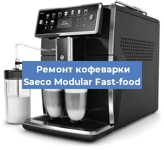 Чистка кофемашины Saeco Modular Fast-food от кофейных масел в Нижнем Новгороде